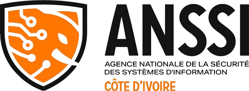 Réseau RSSI DSI